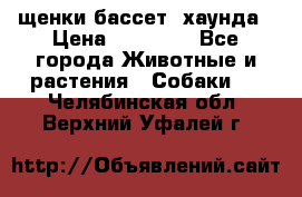 щенки бассет- хаунда › Цена ­ 20 000 - Все города Животные и растения » Собаки   . Челябинская обл.,Верхний Уфалей г.